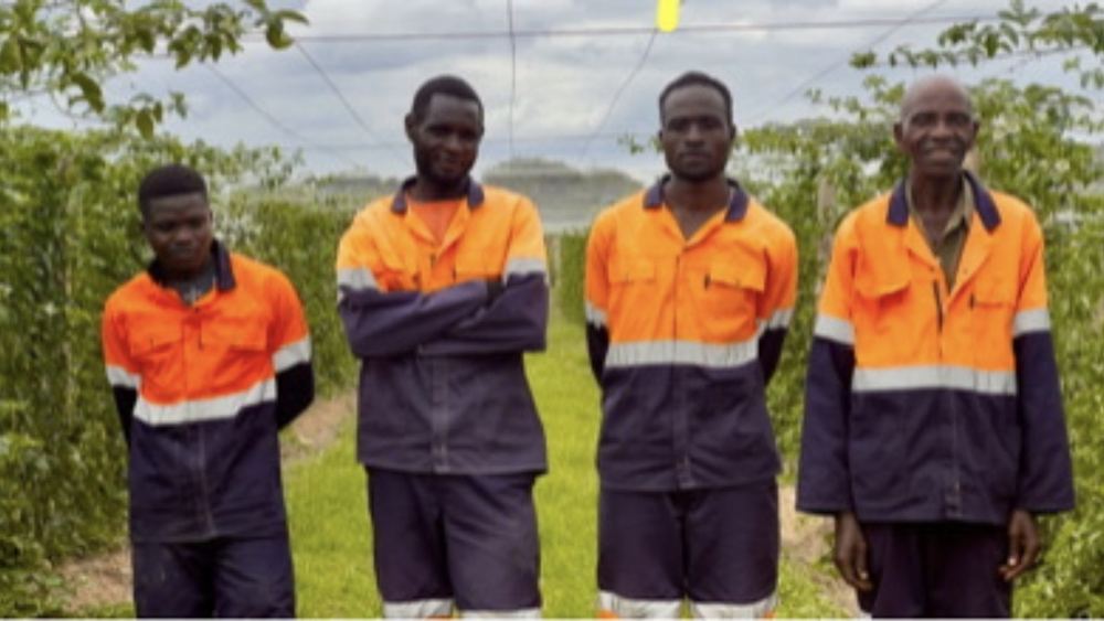 Tafften Farms field team